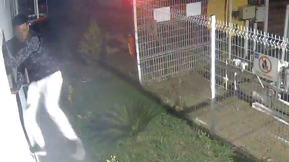 Emekleyerek geldi, böyle kaçtı!