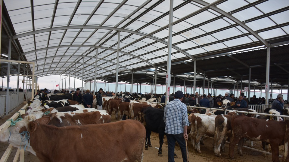 Bir defada en fazla 8 bin ton