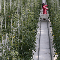 İsrail'den açıklama: Türkiye'den o ürünleri almayacağız