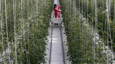 İsrail'den açıklama: Türkiye'den o ürünleri almayacağız