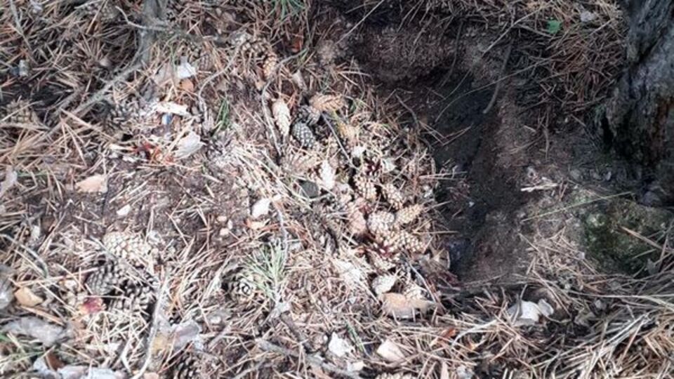 Öldürülen bebeğin cesedi, babanın ağladığı yerde bulunamadı