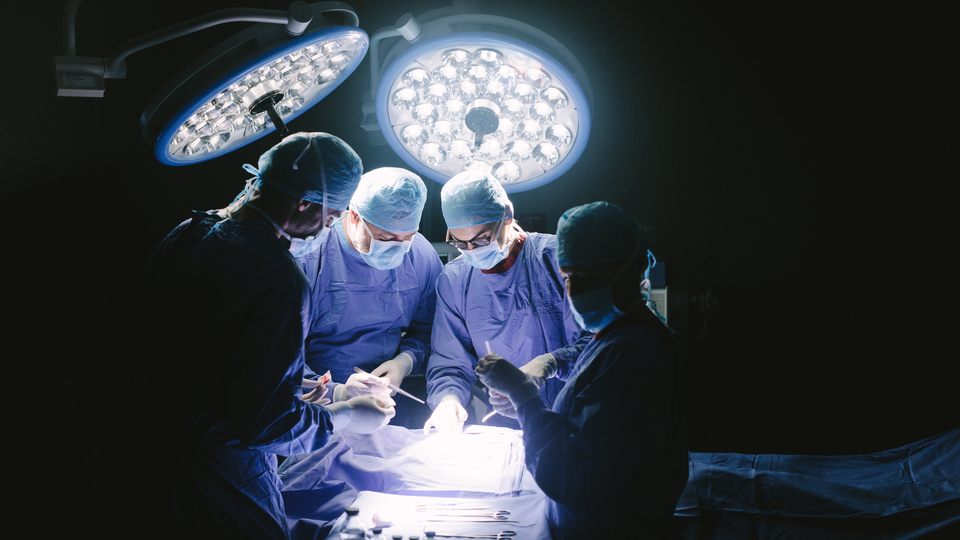 Kadavradan kemik naklettiler!