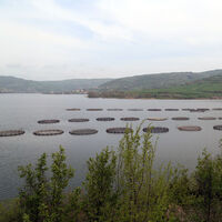 Rusya'ya yeni ihracat kapısı