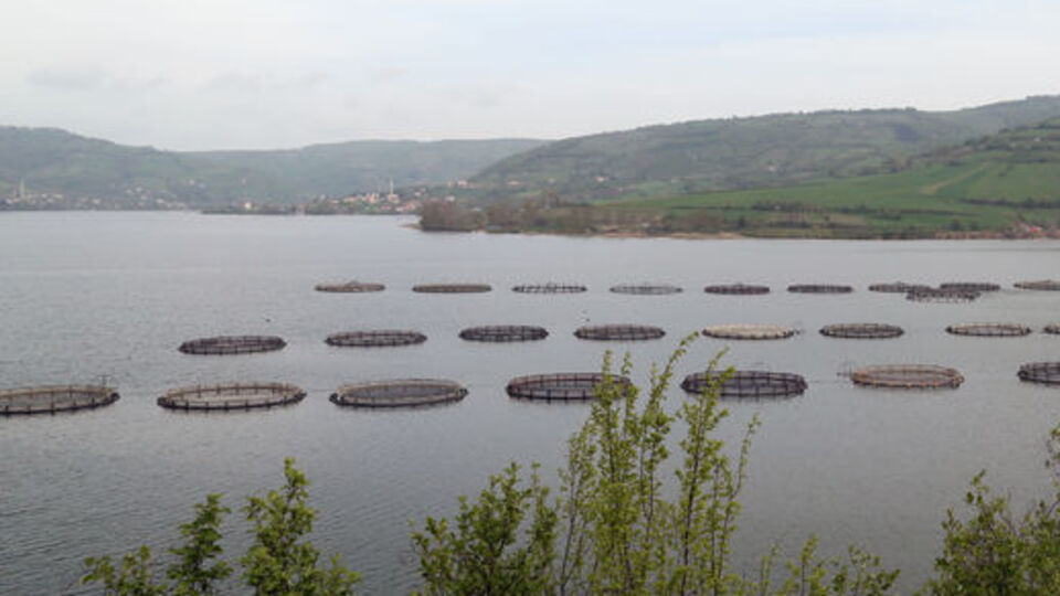 Rusya'ya yeni ihracat kapısı