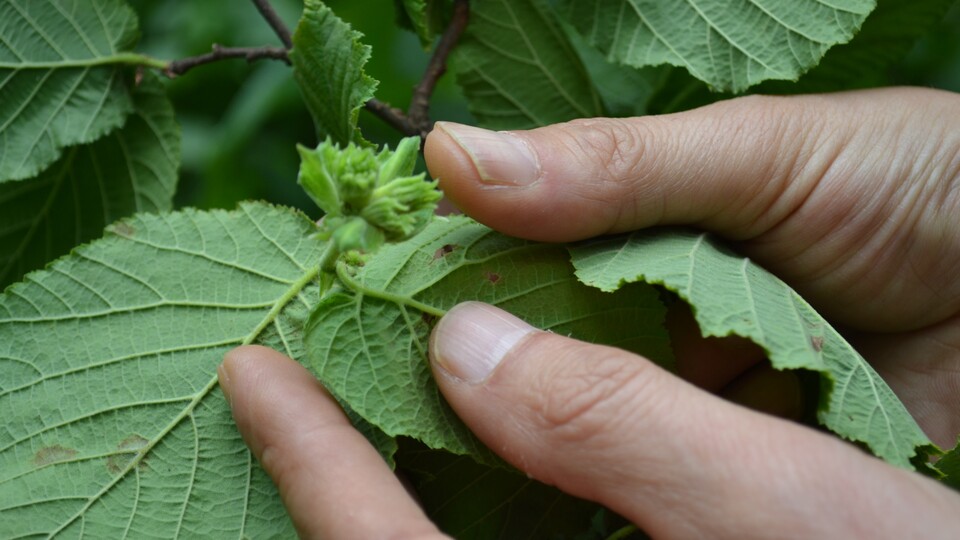 "Türkiye'nin yerini dolduracak başka ülke yok"