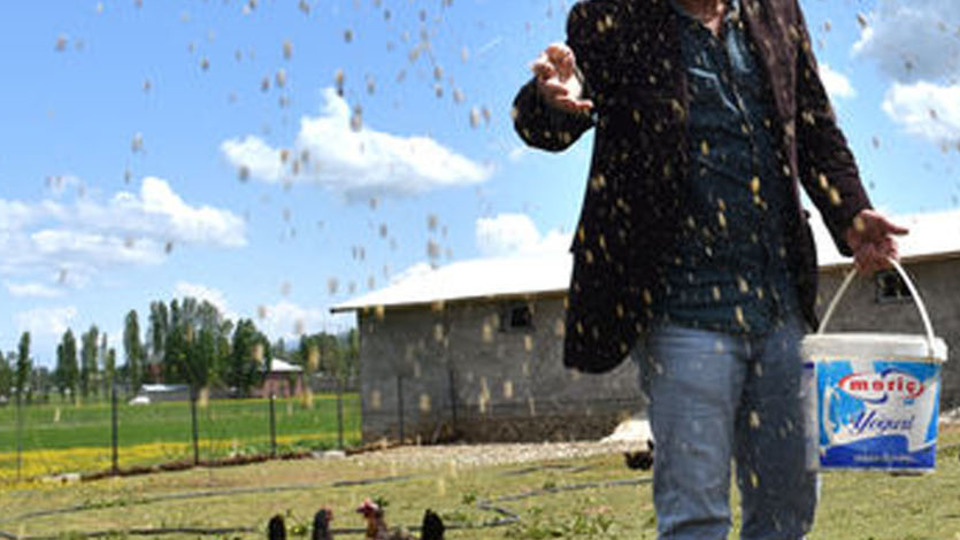 Terör nedeniyle kaçtığı köyüne çiftlik kurdu! Siparişlere yetişemiyor
