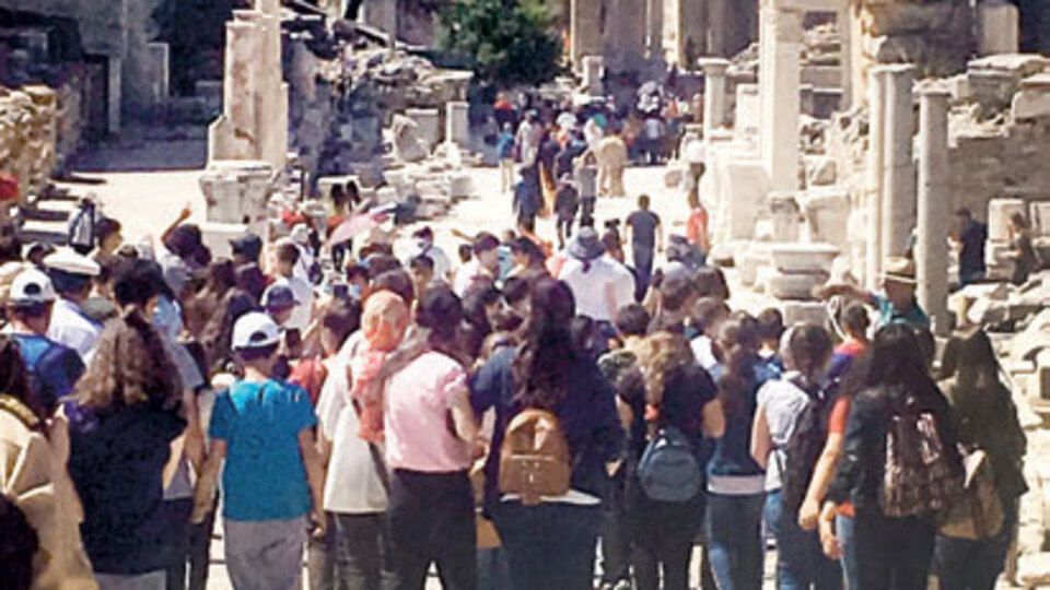 Bu yıl 'kedilere kalmadı'