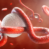 Ölü sayısı 23'e çıktı! Virüs şehre yayılıyor...