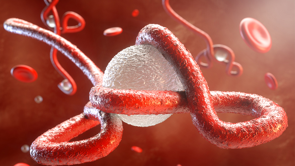 Ölü sayısı 23'e çıktı! Virüs şehre yayılıyor...