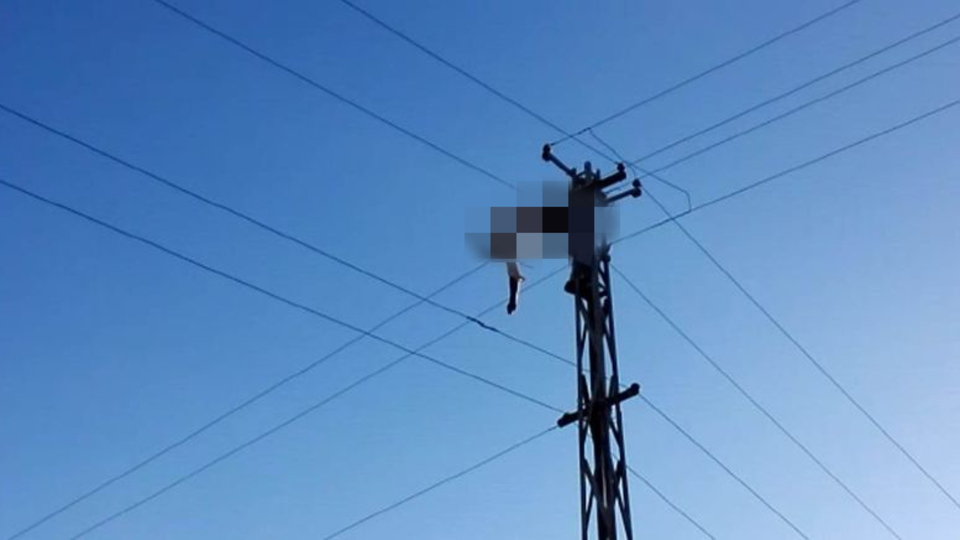 Şanlıurfa'da korkunç görüntü!