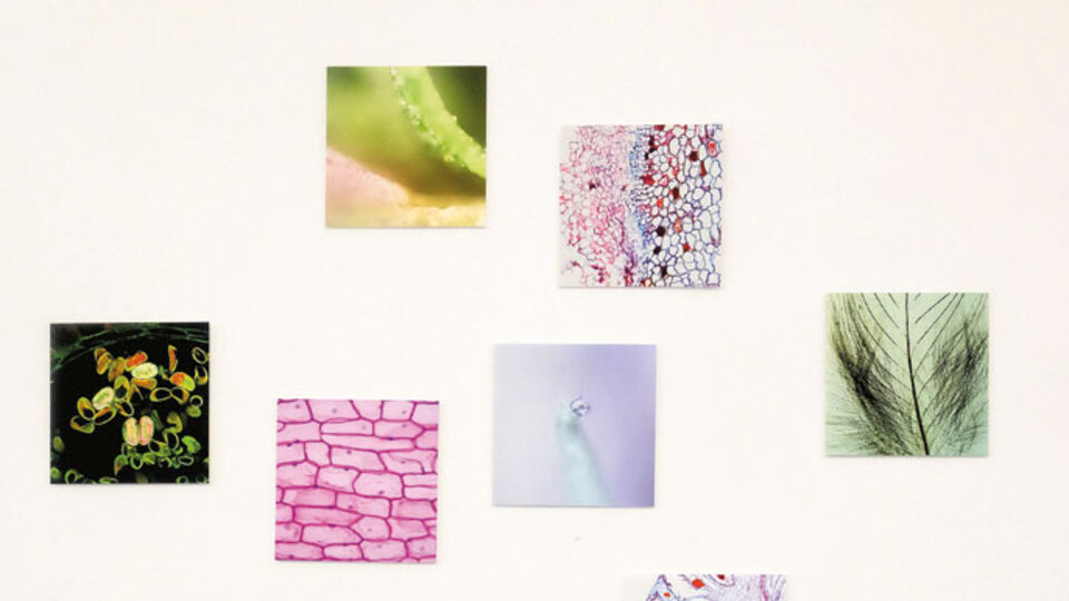 5 farklı disiplinde OT sergisi