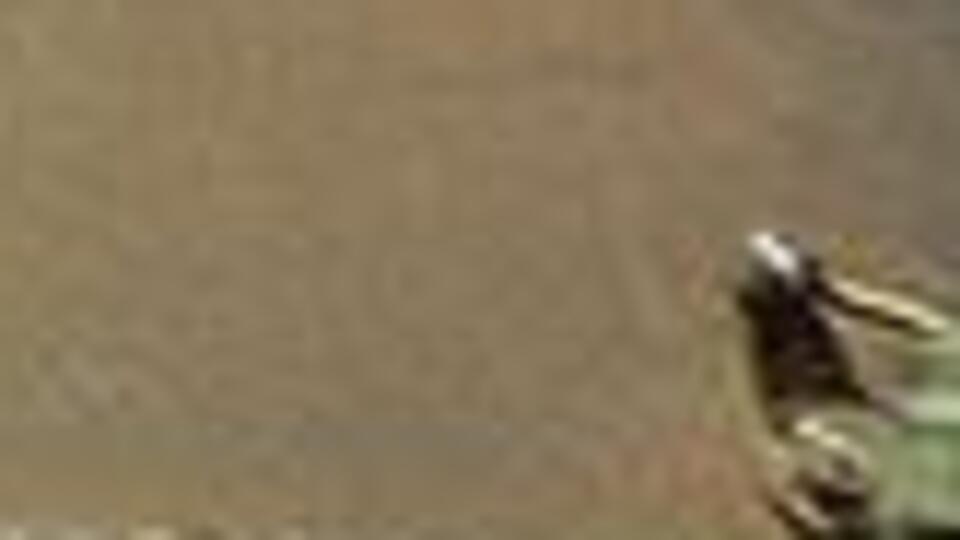 Esad rejimi Fransız askerleri sorguladı!