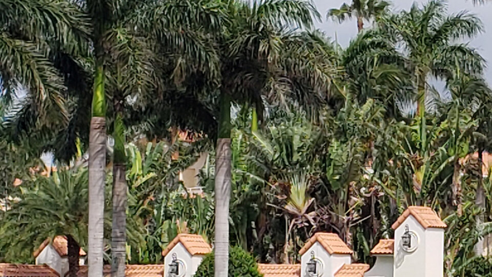 ABD Başkanının golf tesisine silahlı saldırı