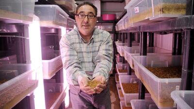 Böcek çiftliği sahibi Selami Gökgöl: Bir bakışta böceklerimin derdini anlarım