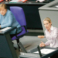 Irkçılık hizmetleri