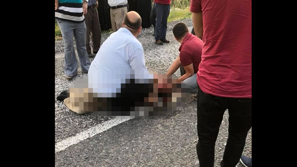 Her şeyi kaplumbağa için yaptı! Hastaneye kaldırıldı