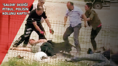 Uyuşturucu STK'ları!