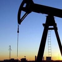 Petrol aramak için başvurdu