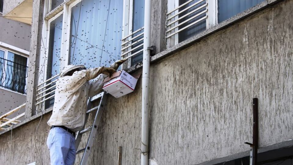 Kentte alarm verildi! Esnaf kapıları kapattı