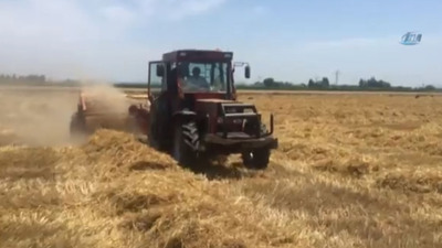 Muharrem İnce, traktörle saman topladı