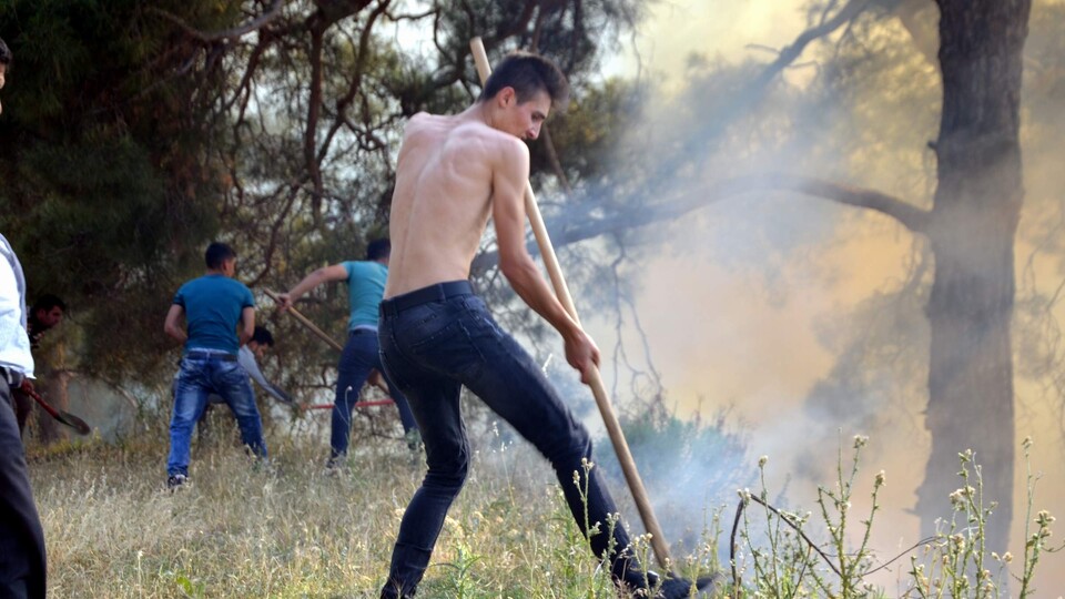 Ekipler saatlerdir söndüremiyor... 200 hektar alan kül oldu!