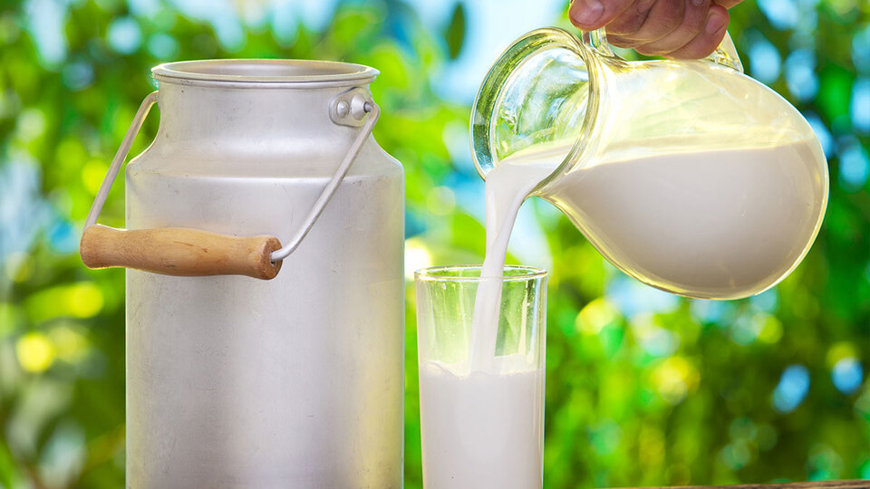 Türkiye süt üretiminde dünyada ilk 10'da ama...