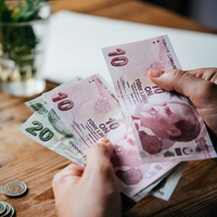 TL’nin bahar alerjisi