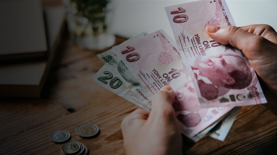 TL'nin bahar alerjisi