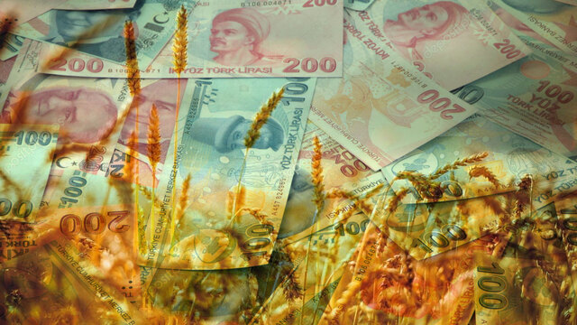 Bakan açıkladı! Genç çiftçilere 503 milyon lira