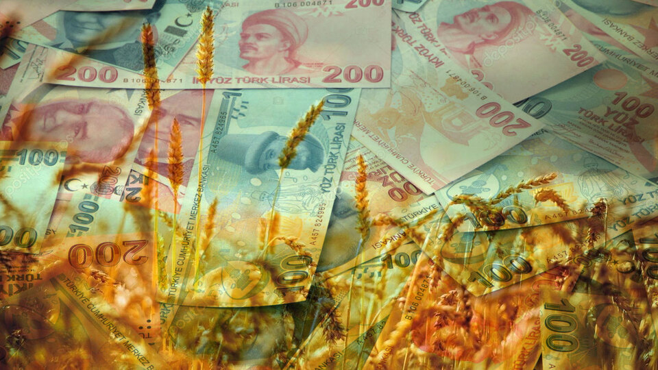 Bakan açıkladı! Genç çiftçilere 503 milyon lira