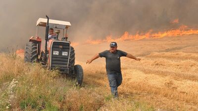 Korkutan gelişme! Ormana sıçradı