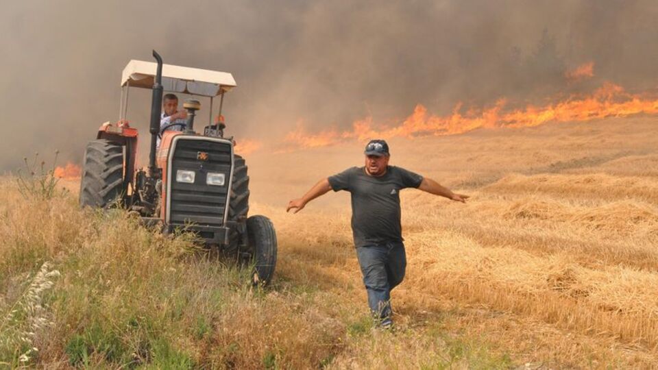 Korkutan gelişme! Ormana sıçradı
