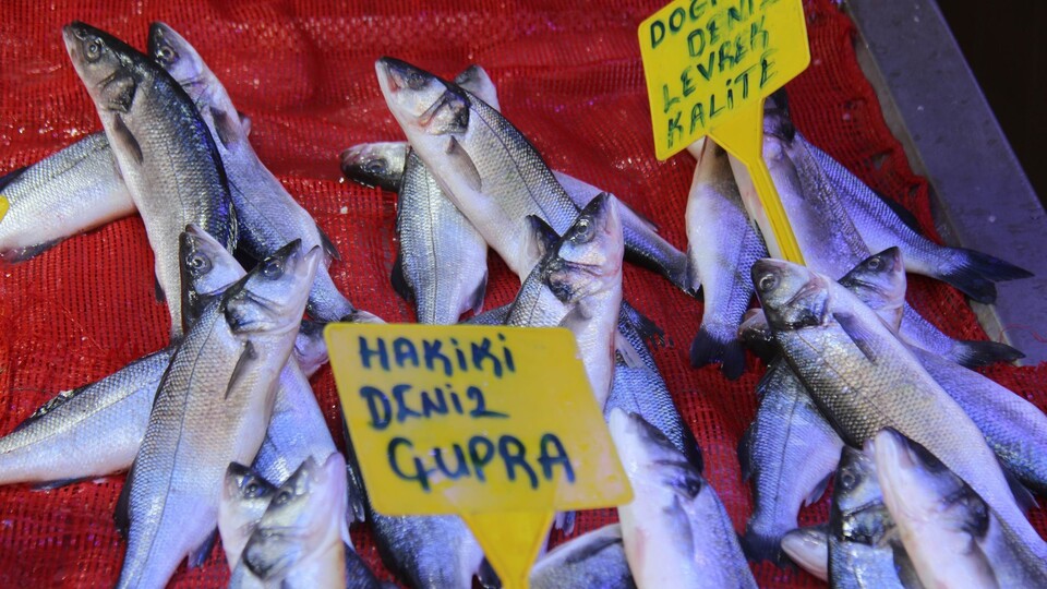 Balıkçıların da yüzü güldü!