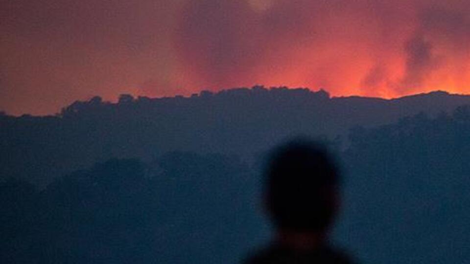 ABD'de orman yangını çıkartana rekor ceza