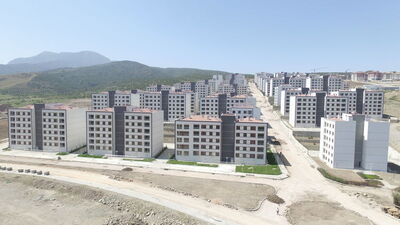 'Ruhsatta azalma piyasayı dengeler'