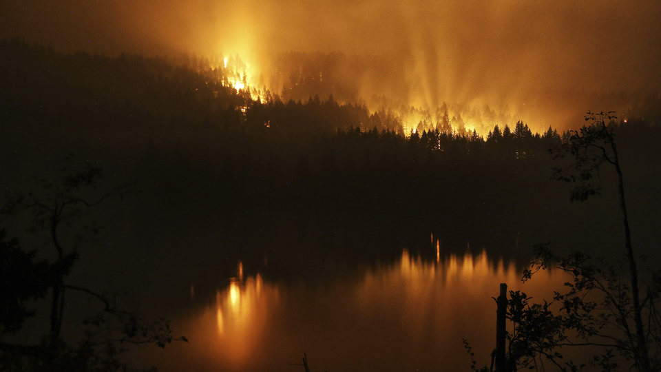 Orman yakan çocuğa 36 milyon dolar ceza!