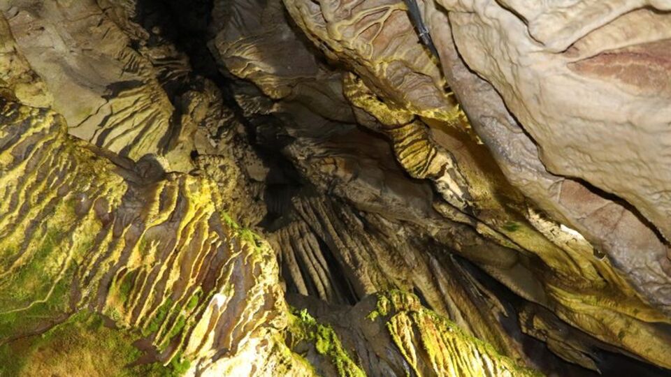 İçinden geçen derenin astıma iyi geldiği söyleniyor! İlgi odağı oldu