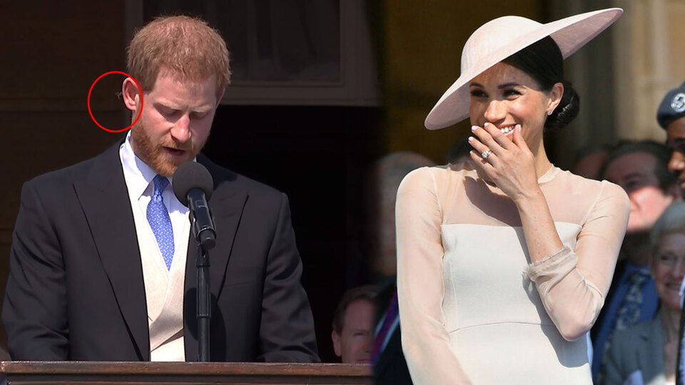 Prens Harry'i arı soktu!