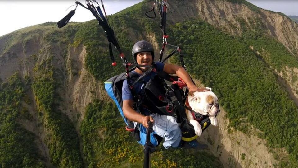 Köpeğiyle 650 metre yüksekten atladı