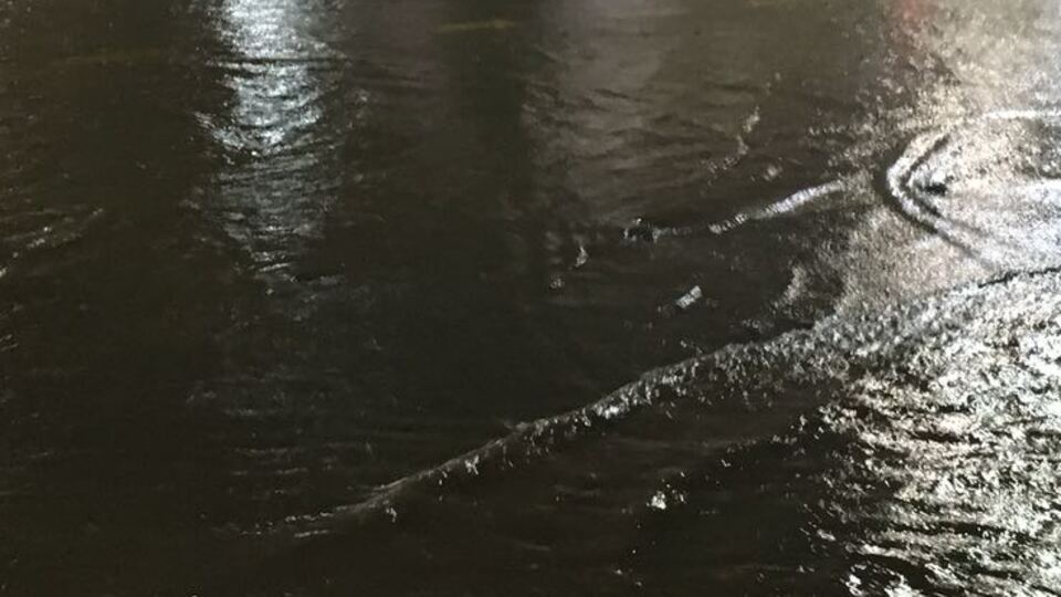 Sağanak ve dolu yağışı caddeleri göle çevirdi