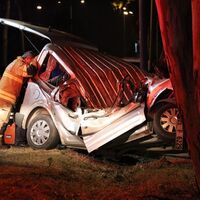 Gördükleri an sinir krizi geçirdiler!