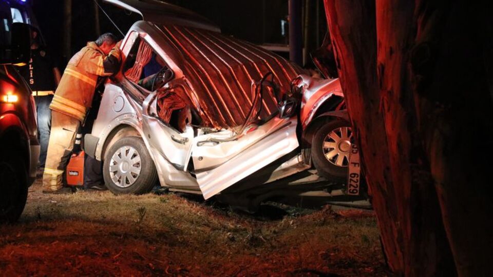 Gördükleri an sinir krizi geçirdiler!