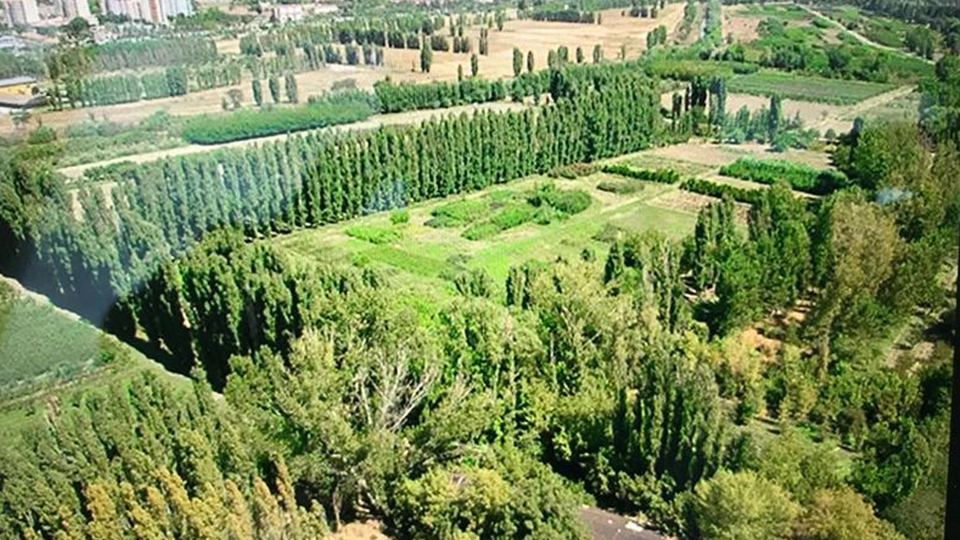 Erdoğan, Atatürk Orman Çiftliği ile ilgili kararı onayladı