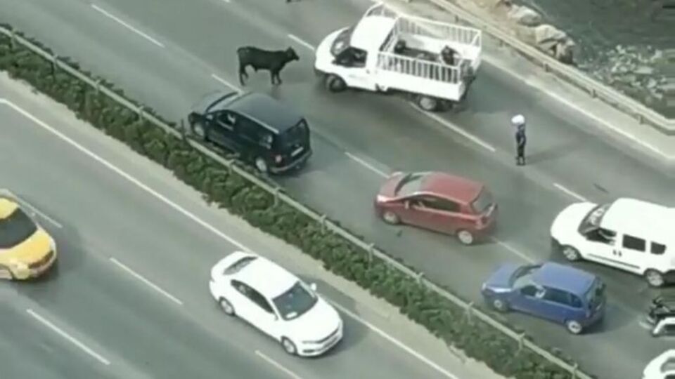 İzmir'i birbirine kattı!