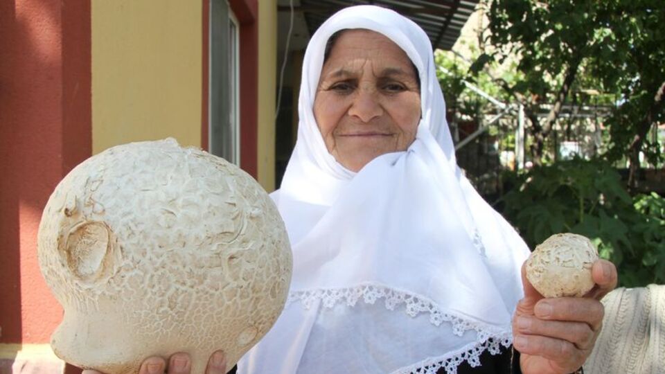 Bahçesinde gördü, top olduğunu sandı!