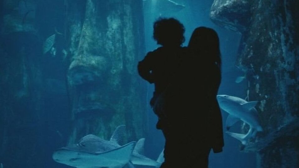 İngiliz istihbarat servisi MI6 televizyon reklamıyla eleman arıyor