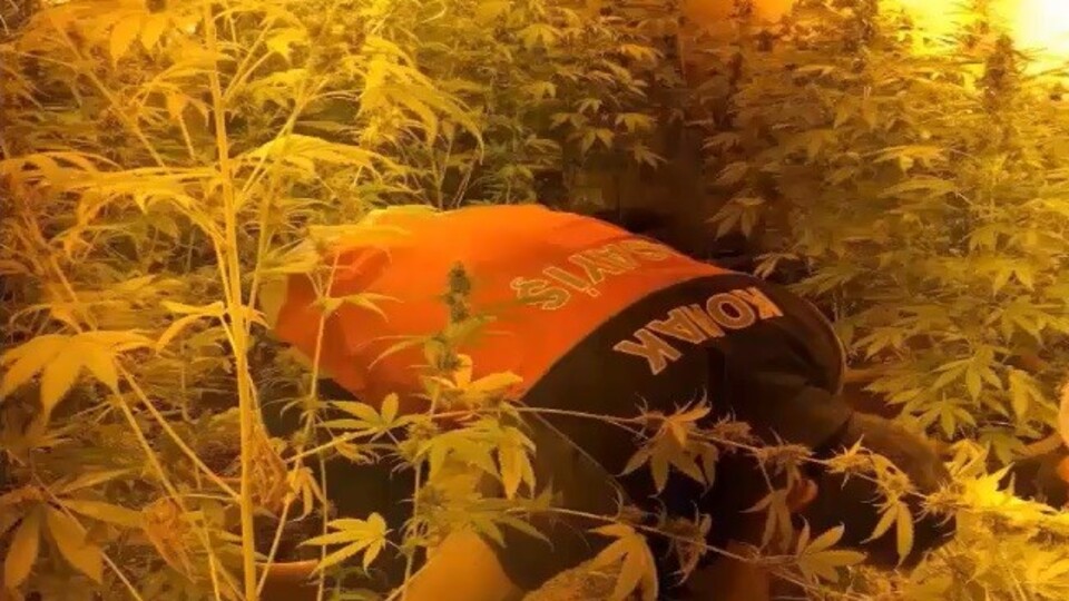 İzmir'de uyuşturucu madde üreticilerine operasyon