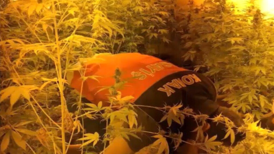 İzmir'de uyuşturucu operasyonu