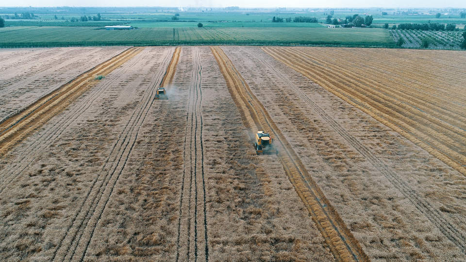 Cezalarını burada çekiyorlar!