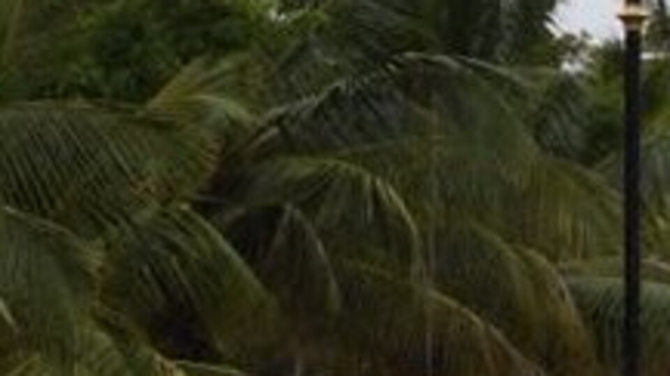 Umman'da kasırga dört can aldı!